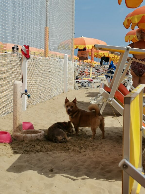 Spiaggia Bagni 25 Gabicce Mare-Gabicce Mare必去景点