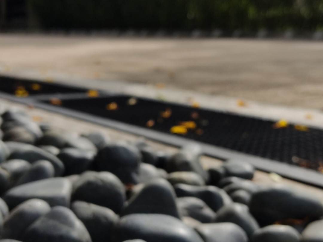 Kechara Forest Retreat-文冬必去景点