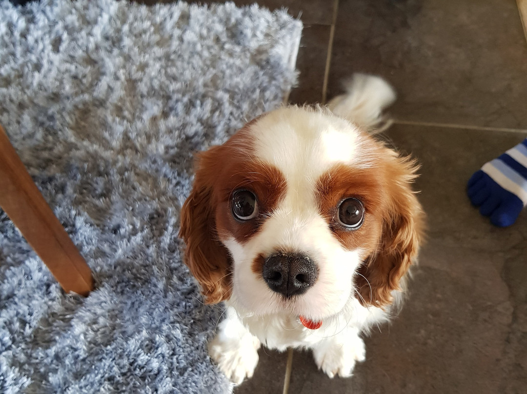 Denmark Chocolate Company-丹麦必去景点