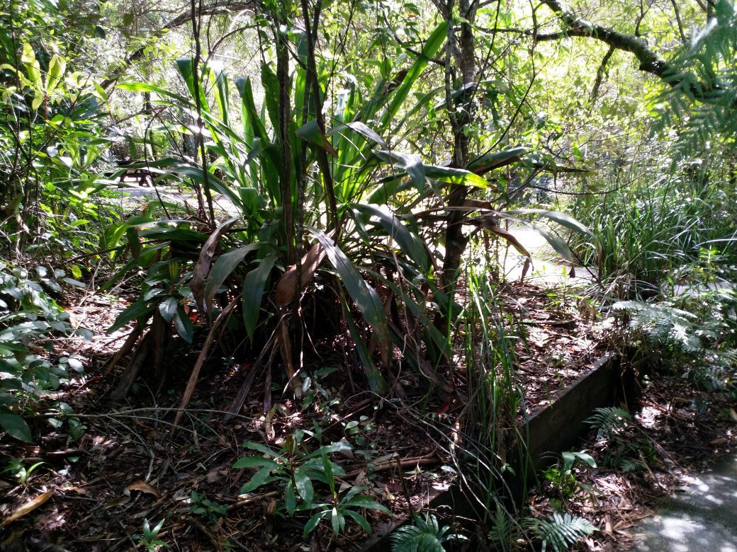 Tallanbana Picnic Area-春之泉必去景点