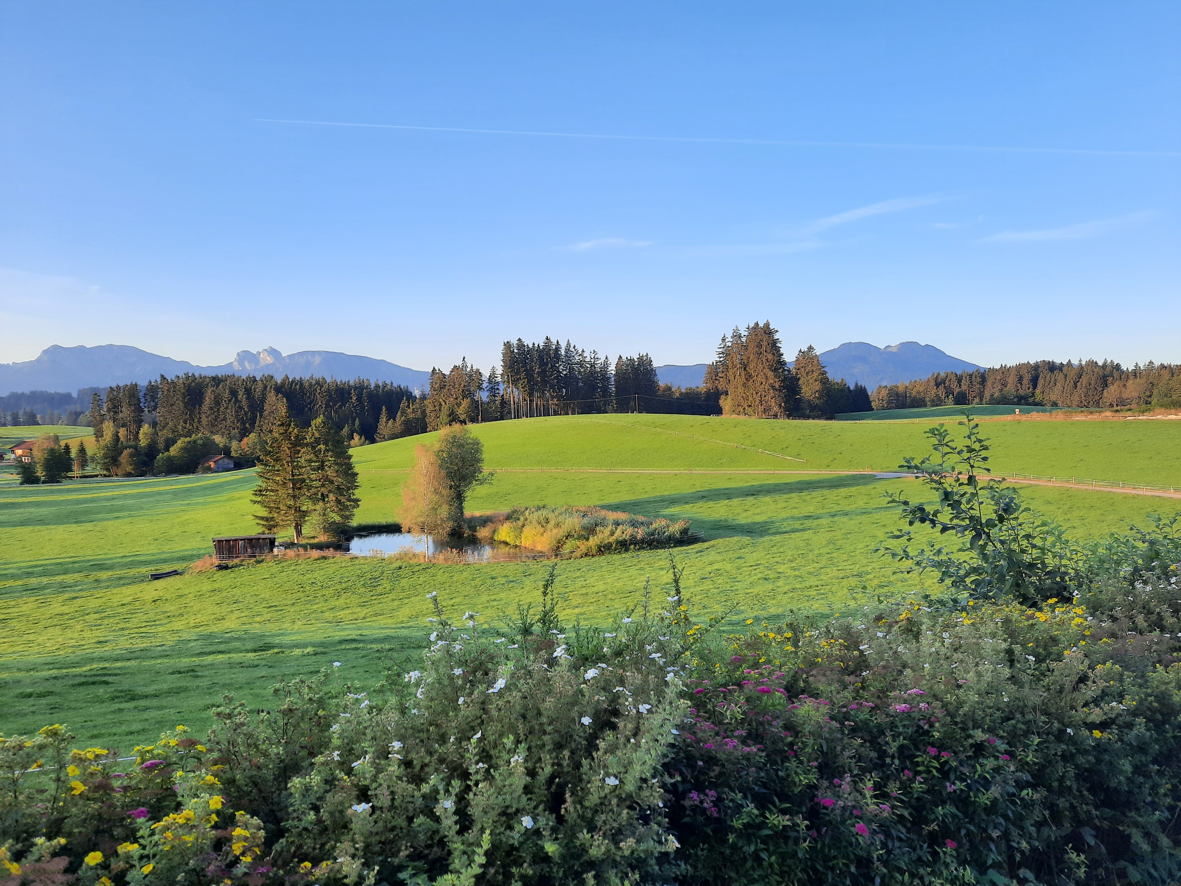 Ferienhof Paulsteiner-酒店景观