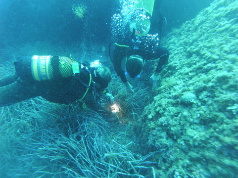 Vellmari-福门特拉岛必去景点