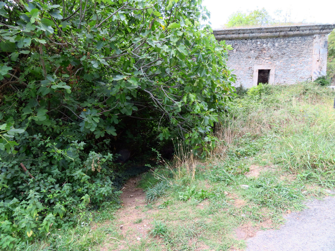 Chiesa di San Vittorino景点图片
