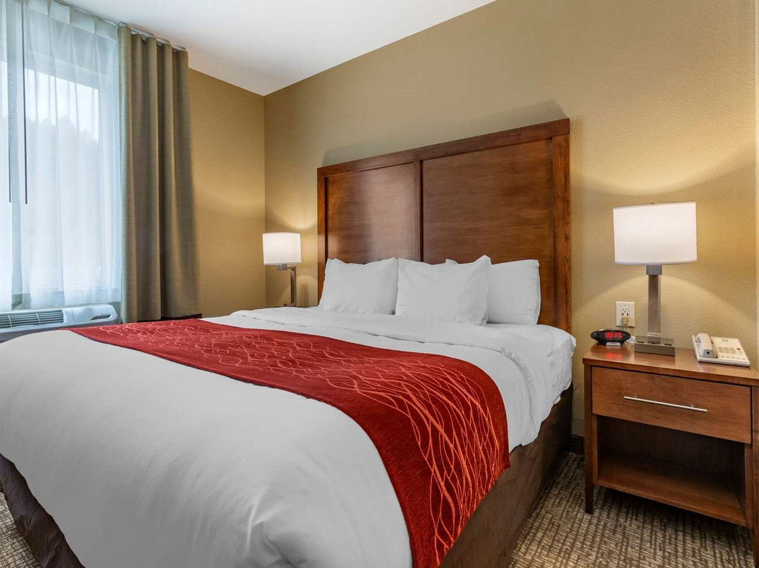 Comfort Inn & Suites Near Mt. Rushmore主图