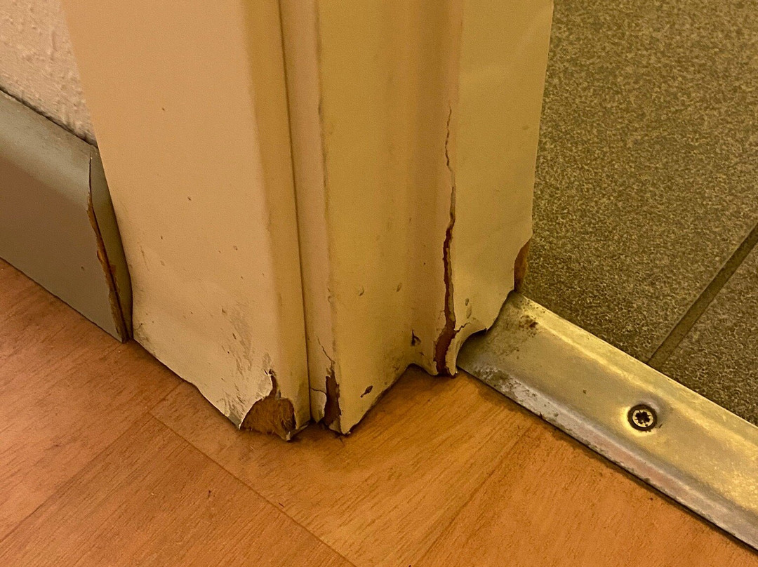 宜必思快捷吉罗纳布拉瓦海岸酒店主图