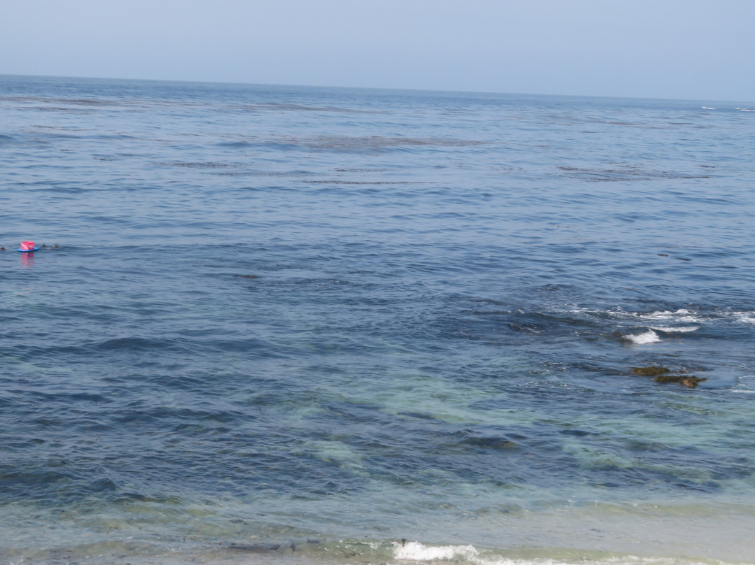 Fanshell Overlook-圆石滩必去景点