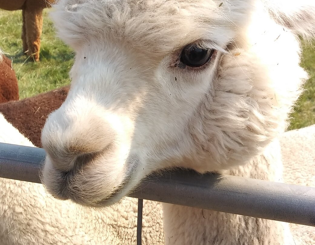 Crescent Moon Ranch-Terrebonne必去景点