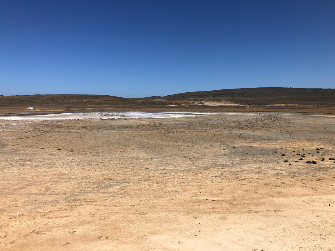 Bulganakskiye Mud Volcanos景点图片