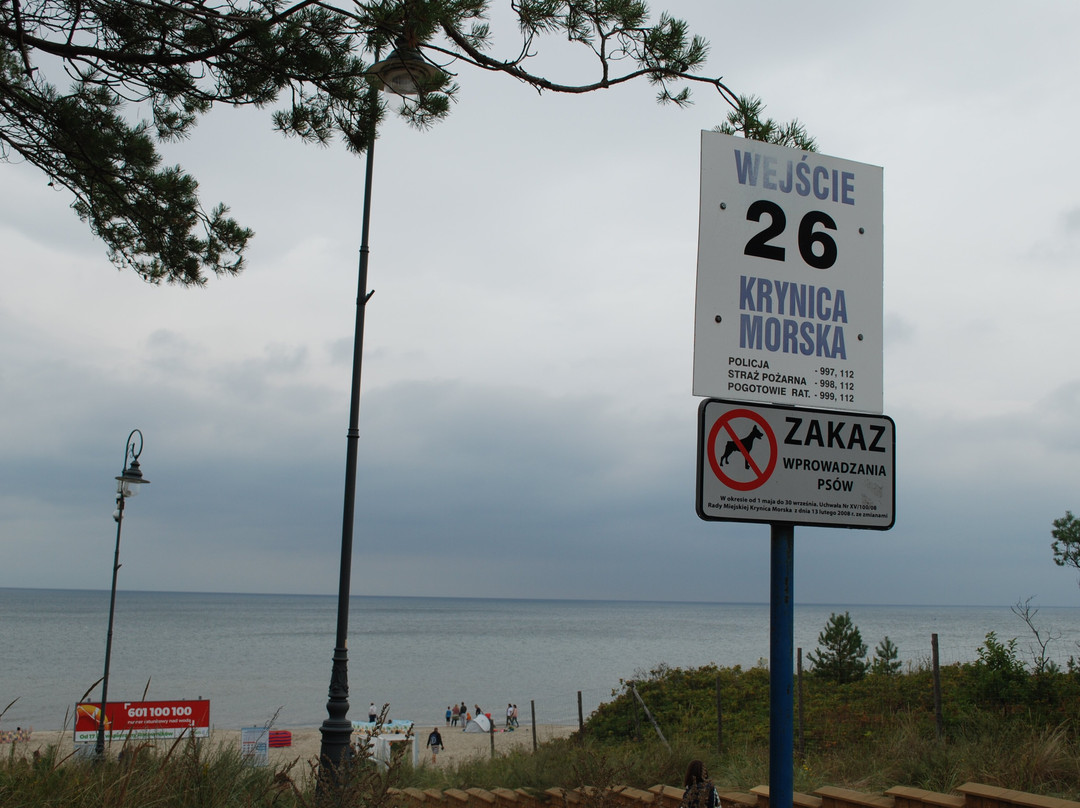 Krynica Morska Beach景点图片