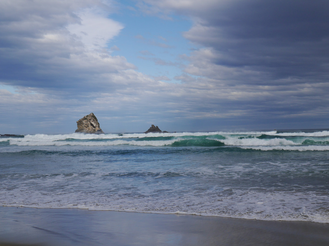Sandfly Bay Track-但尼丁必去景点