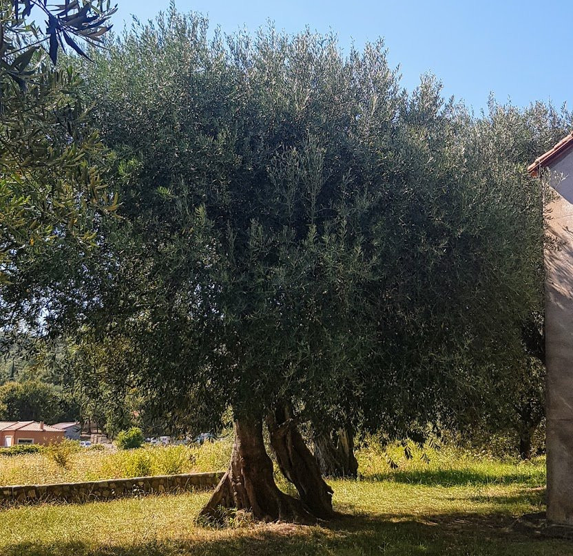 Chapelle Saint-Paul景点图片