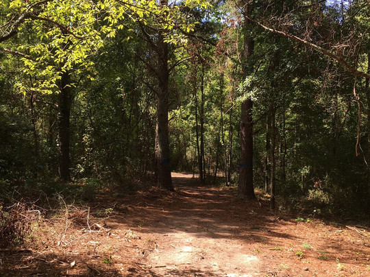 West Walton Park-Loganville必去景点