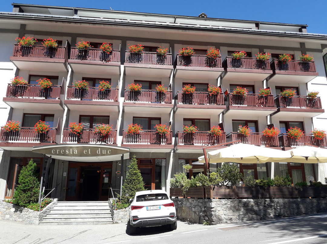 克莱斯特艾特杜克酒店主图