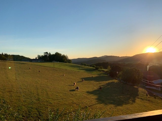 Pfaus Heidburg主图