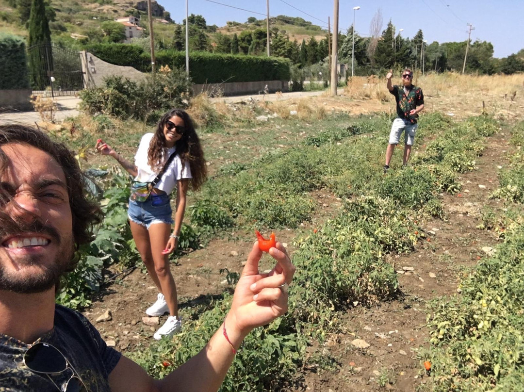 Galleria Corleone and Tours-Corleone必去景点