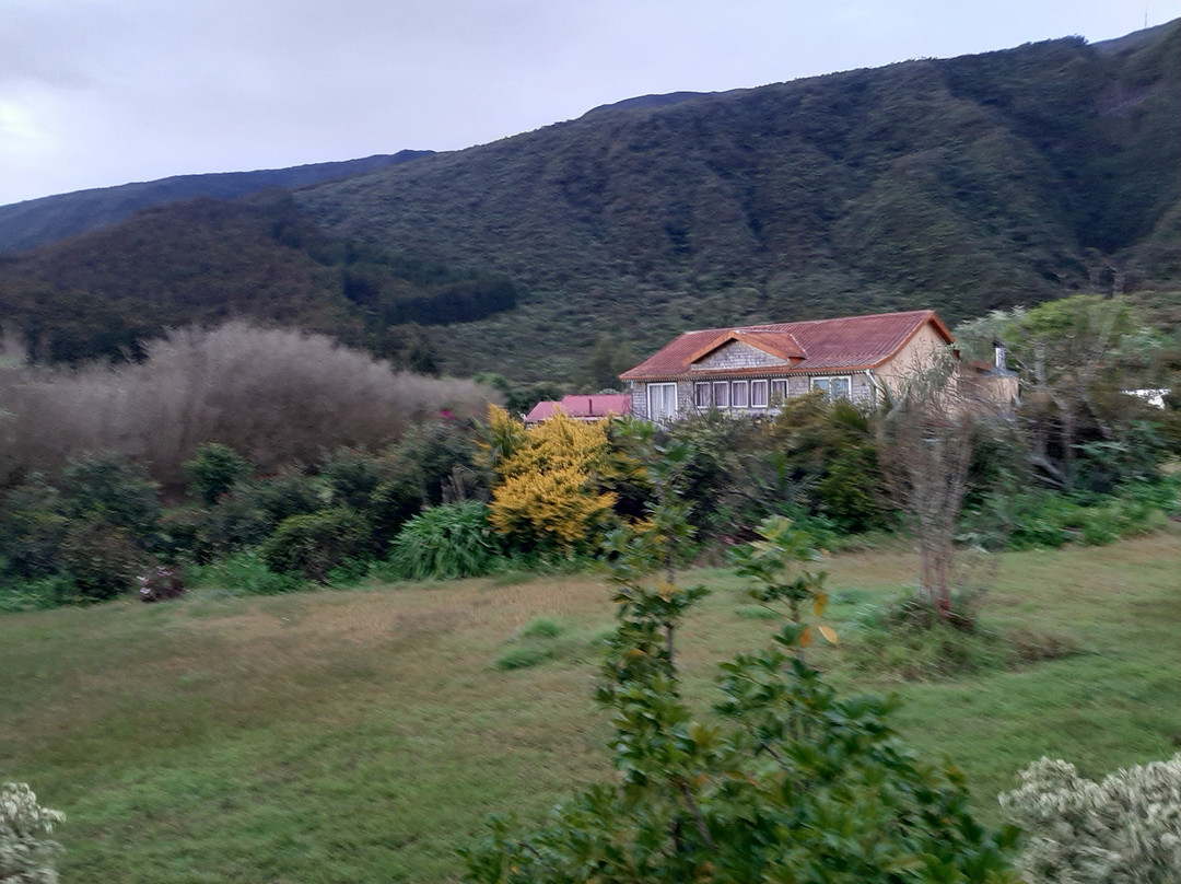 L'Arum des Prairies主图