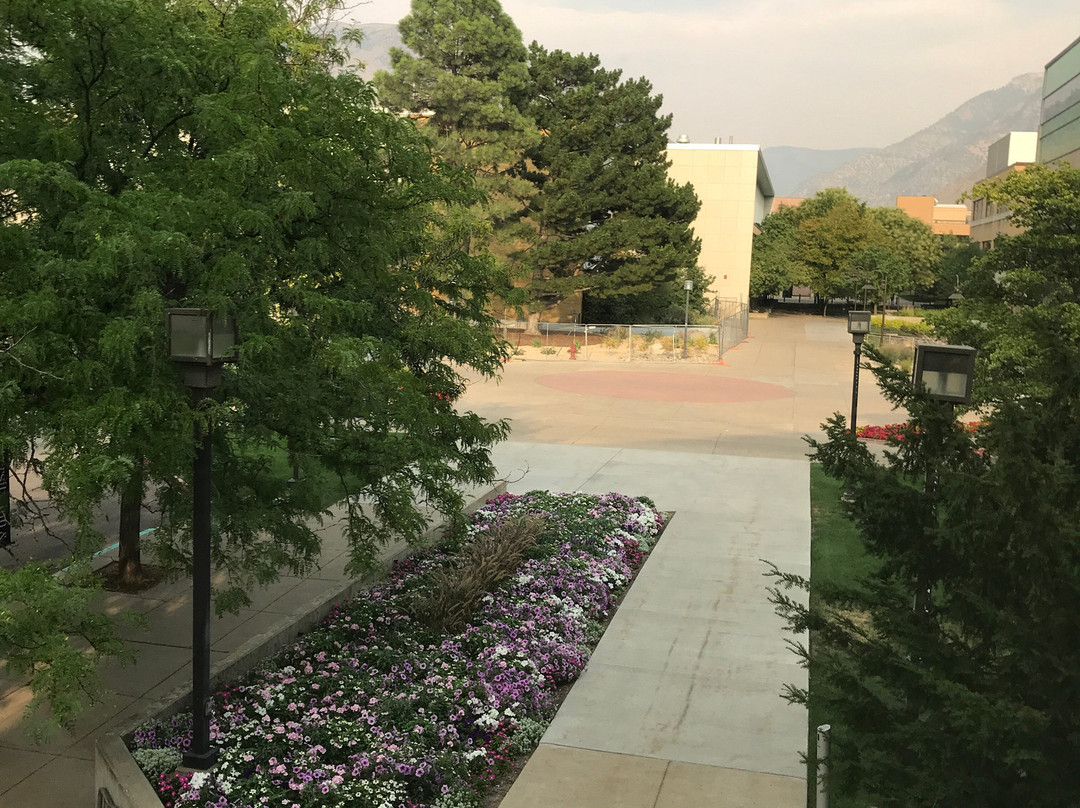 大学与会议中心酒店主图