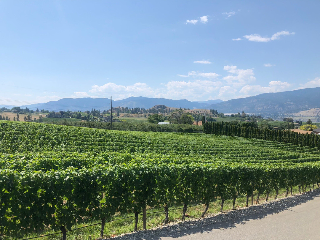 Ruby Blues Winery-彭蒂克顿必去景点