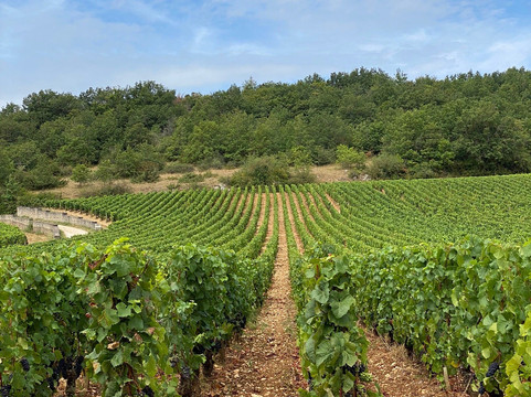 Authentica Tours-第戎必去景点