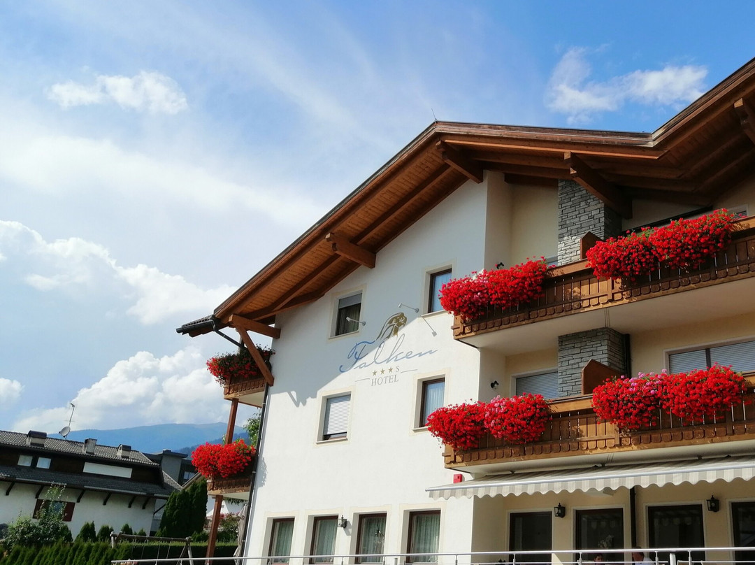 Hotel Falken主图