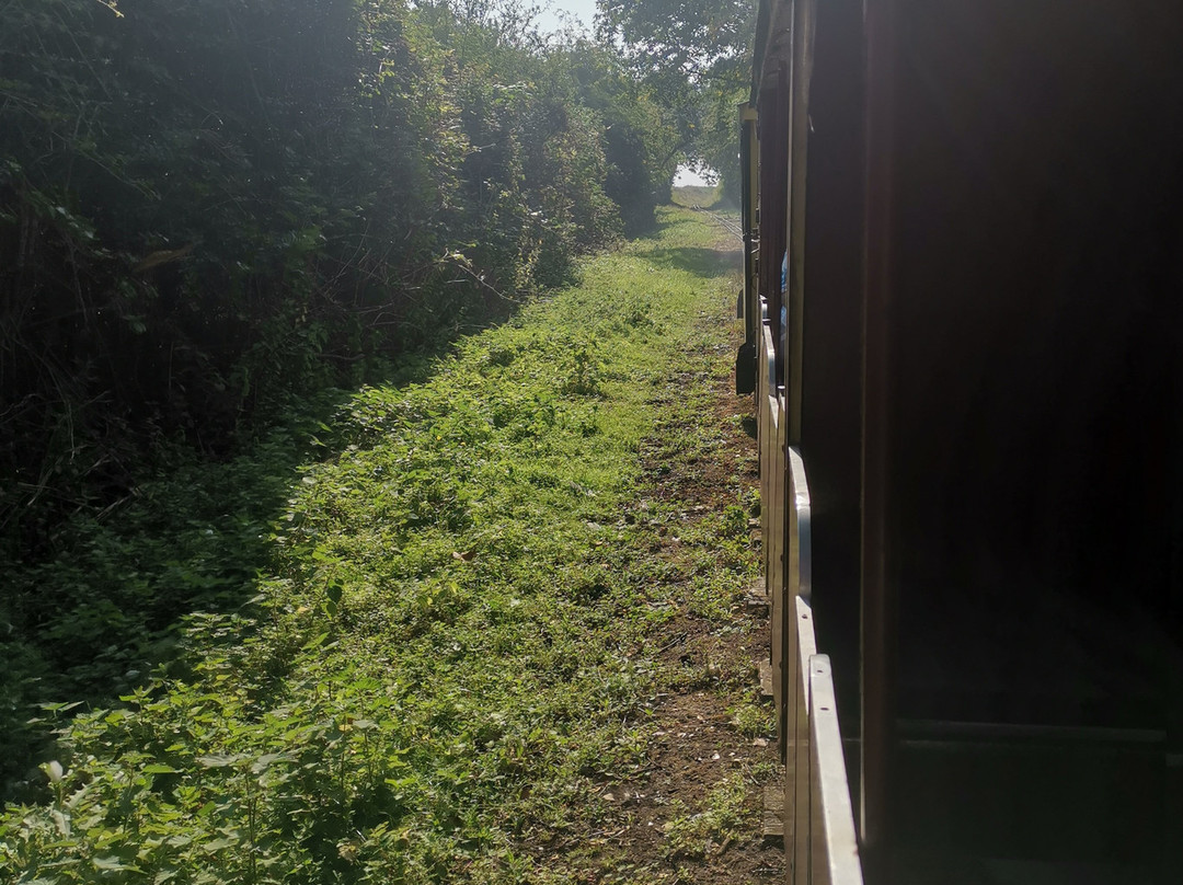 Wells & Walsingham Light Railway-Wells-next-the-Sea必去景点