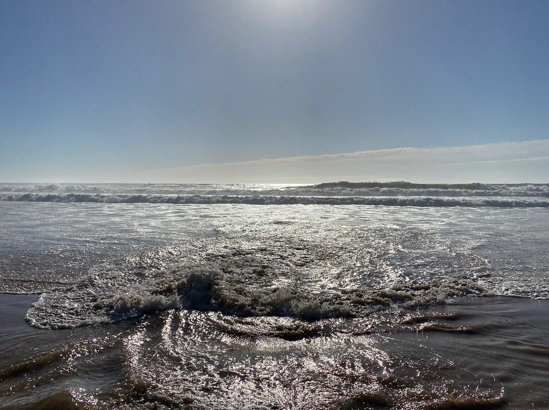 Praia do Amado景点图片
