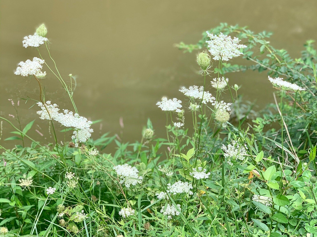 Riley's Lock-Poolesville必去景点