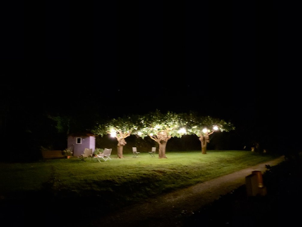 Mernico旅游攻略图片