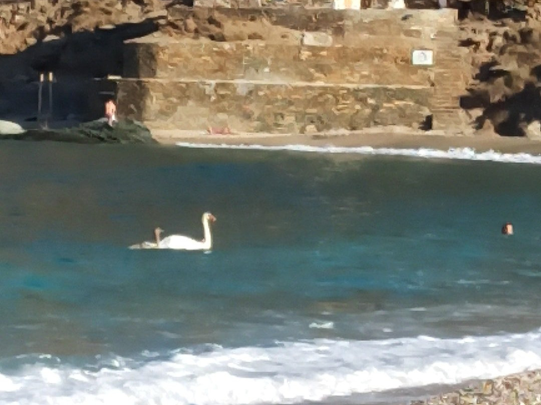 Achla Beach-安德罗斯必去景点