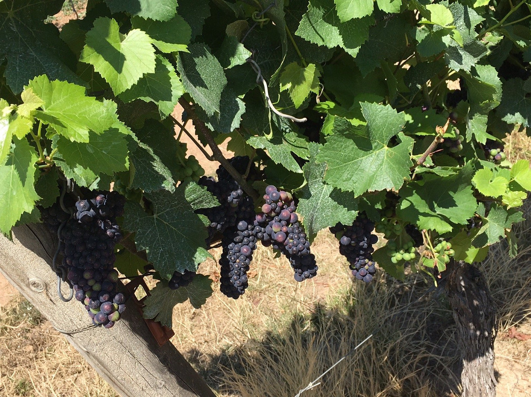 Hotel Muenster主图