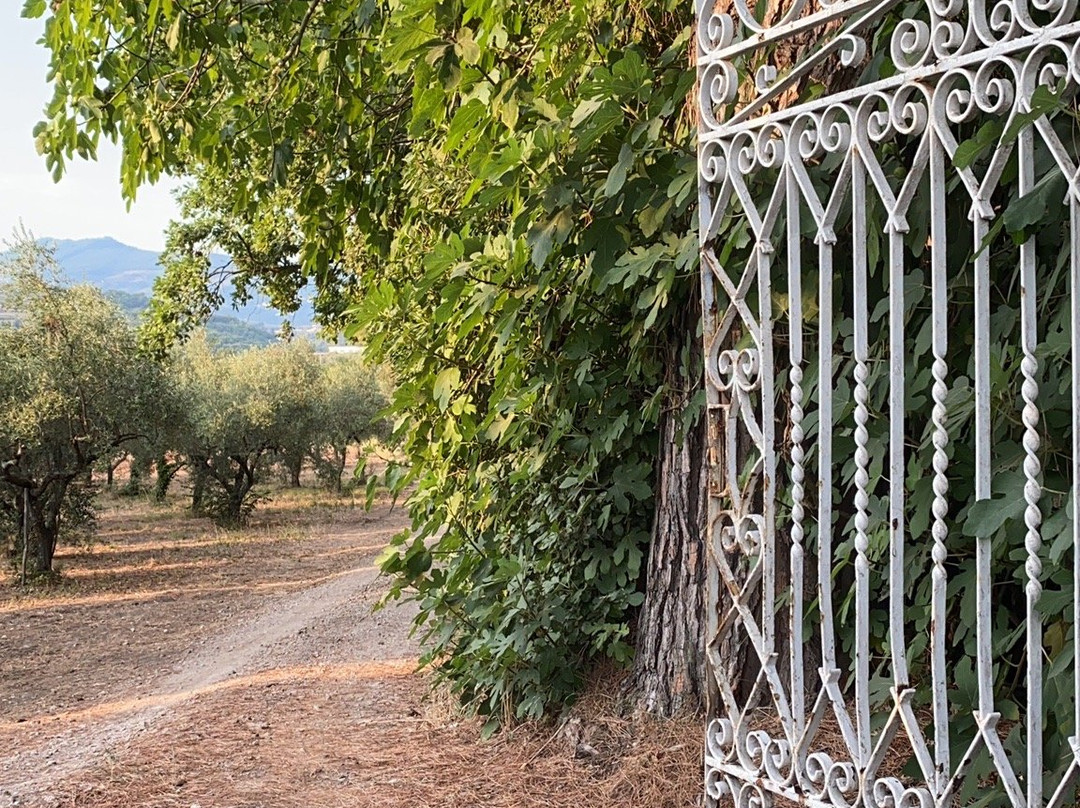 Ponteronico Resort主图