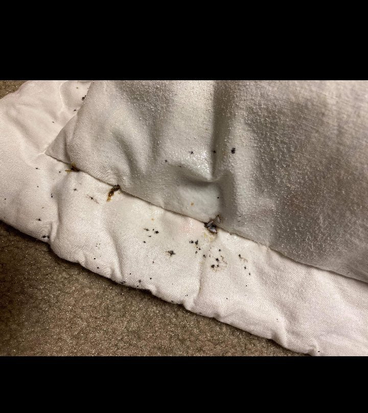 Hampton Inn & Suites Lavonia主图