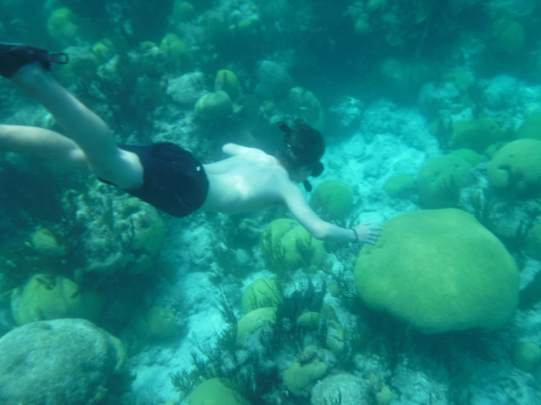 Under The Sea Charters-Somerset Village必去景点