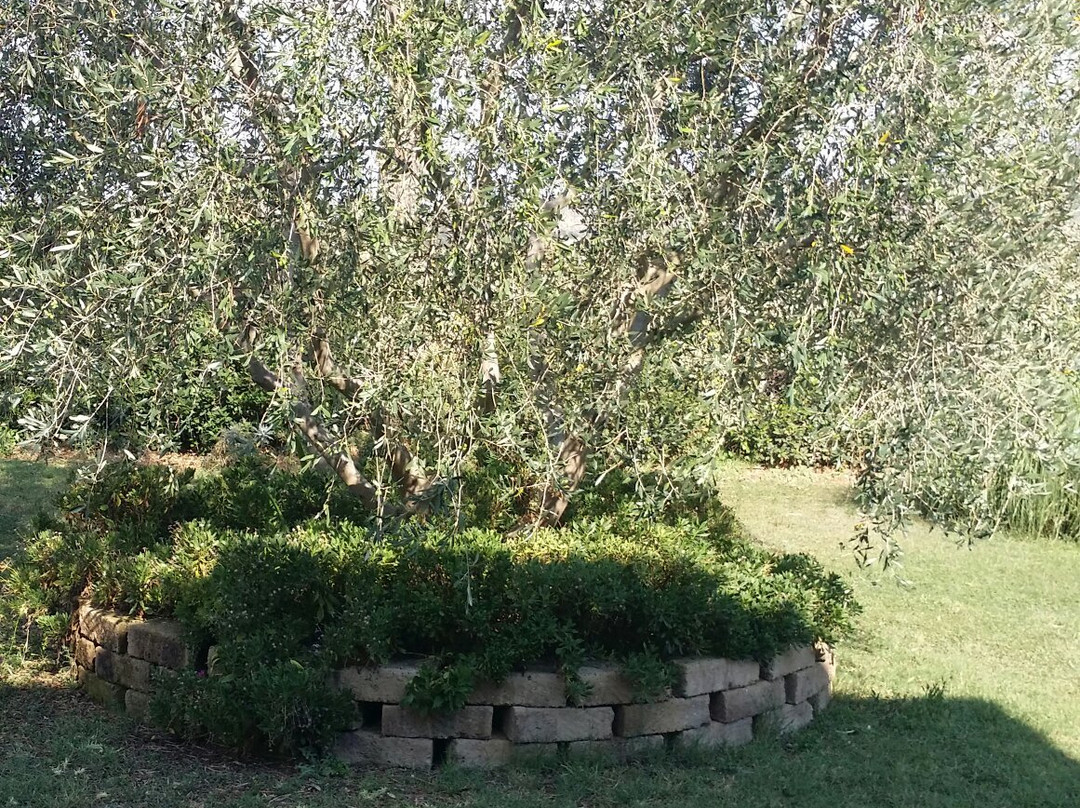 Agriturismo Villa Trieste主图