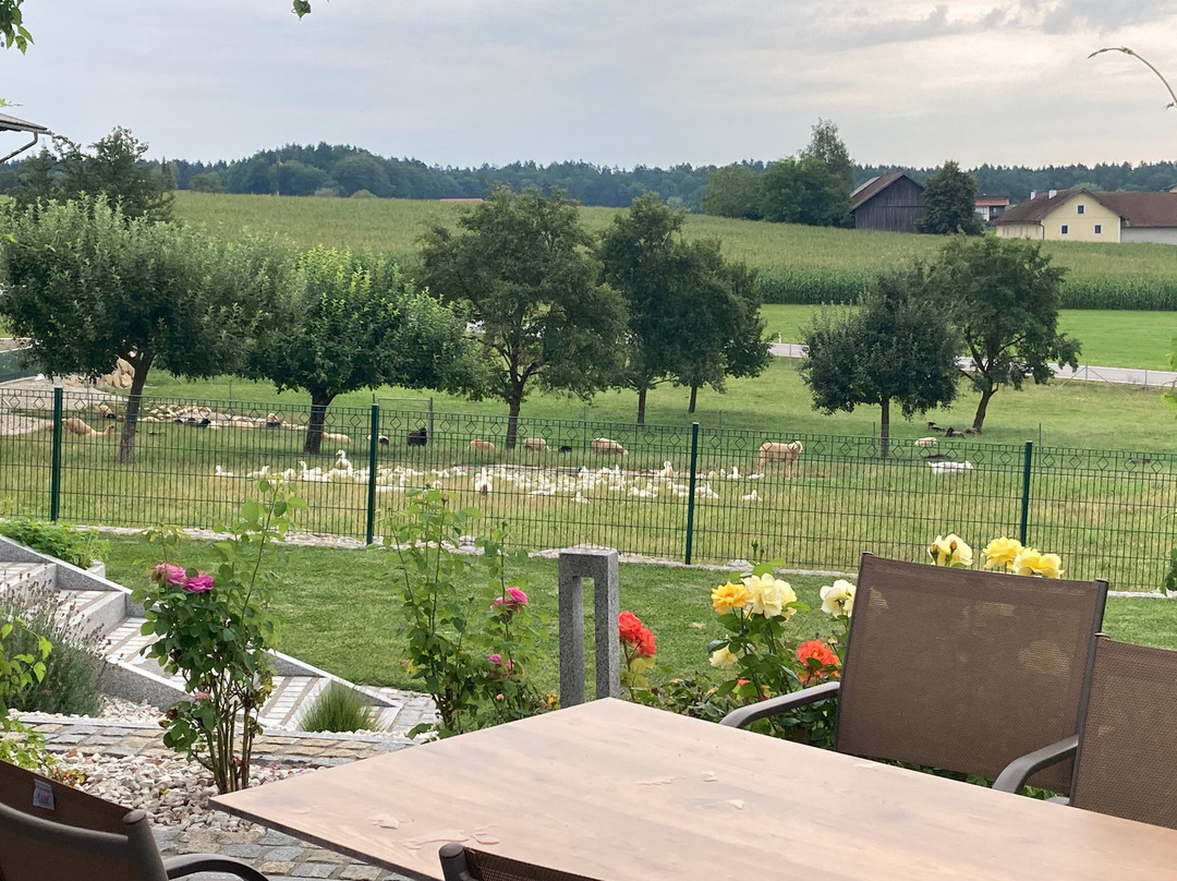 Landgasthof Entenwirt主图