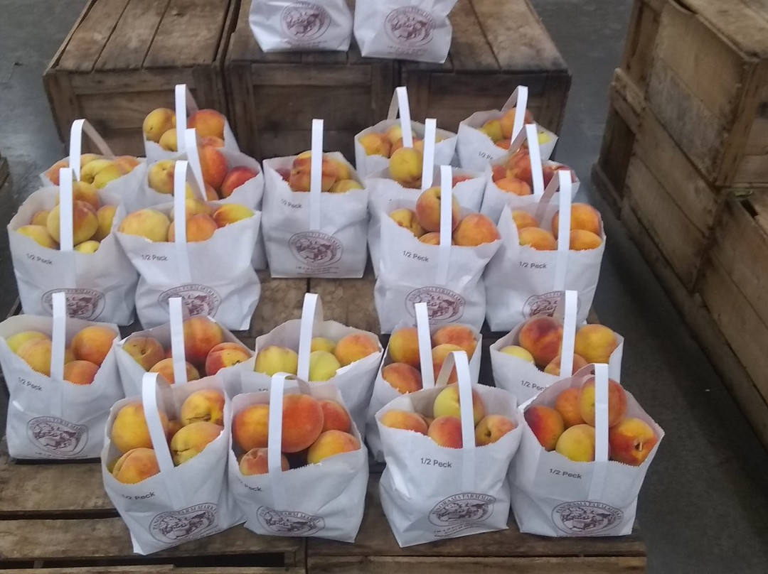 Panorama Orchards & Farm Market-Ellijay必去景点