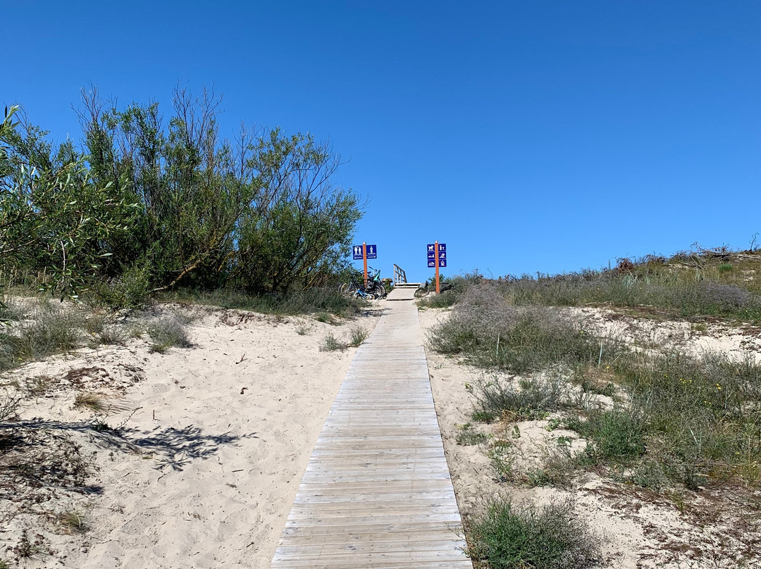 Beach Of Nida-Nida必去景点