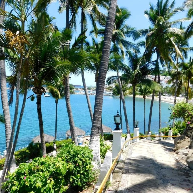 Dolphin Cove Inn主图