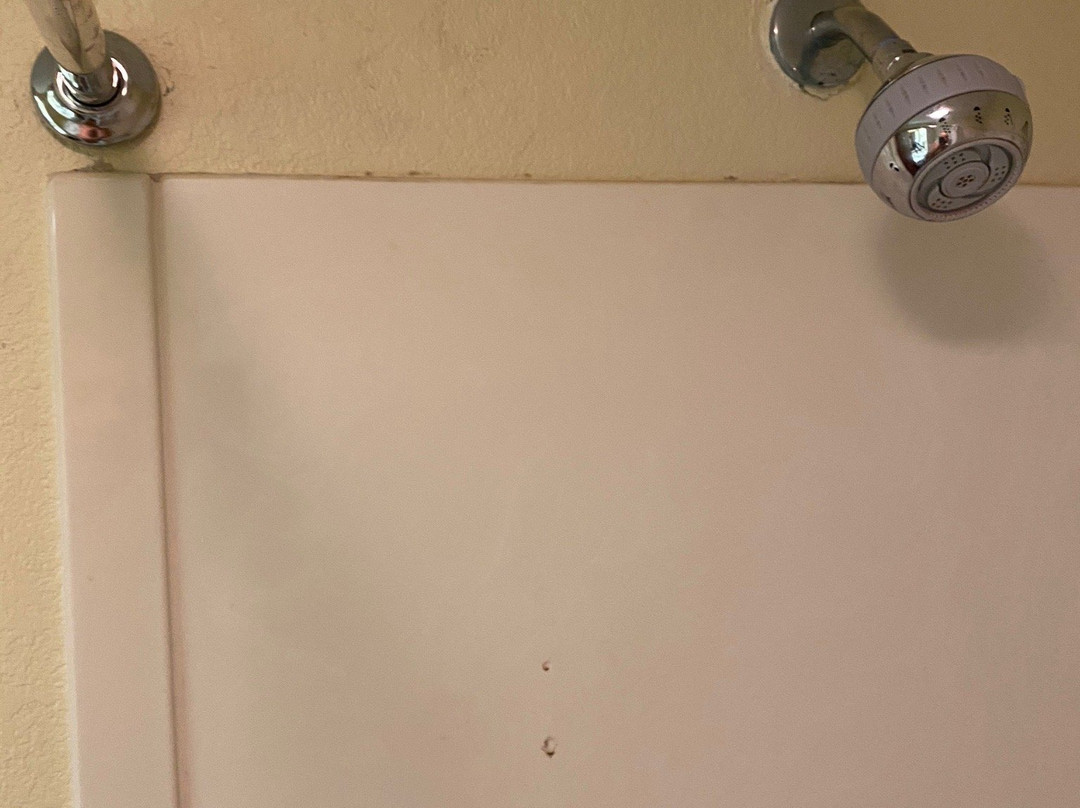 Comfort Inn & Suites主图