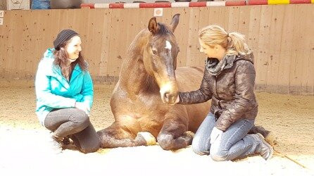 Riding stable Sandjago景点图片