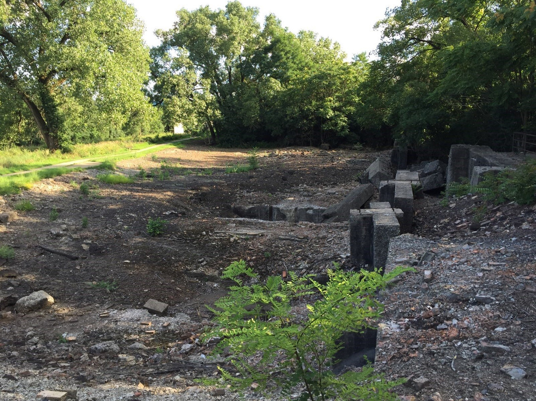 Joliet Iron Works Historic Site景点图片