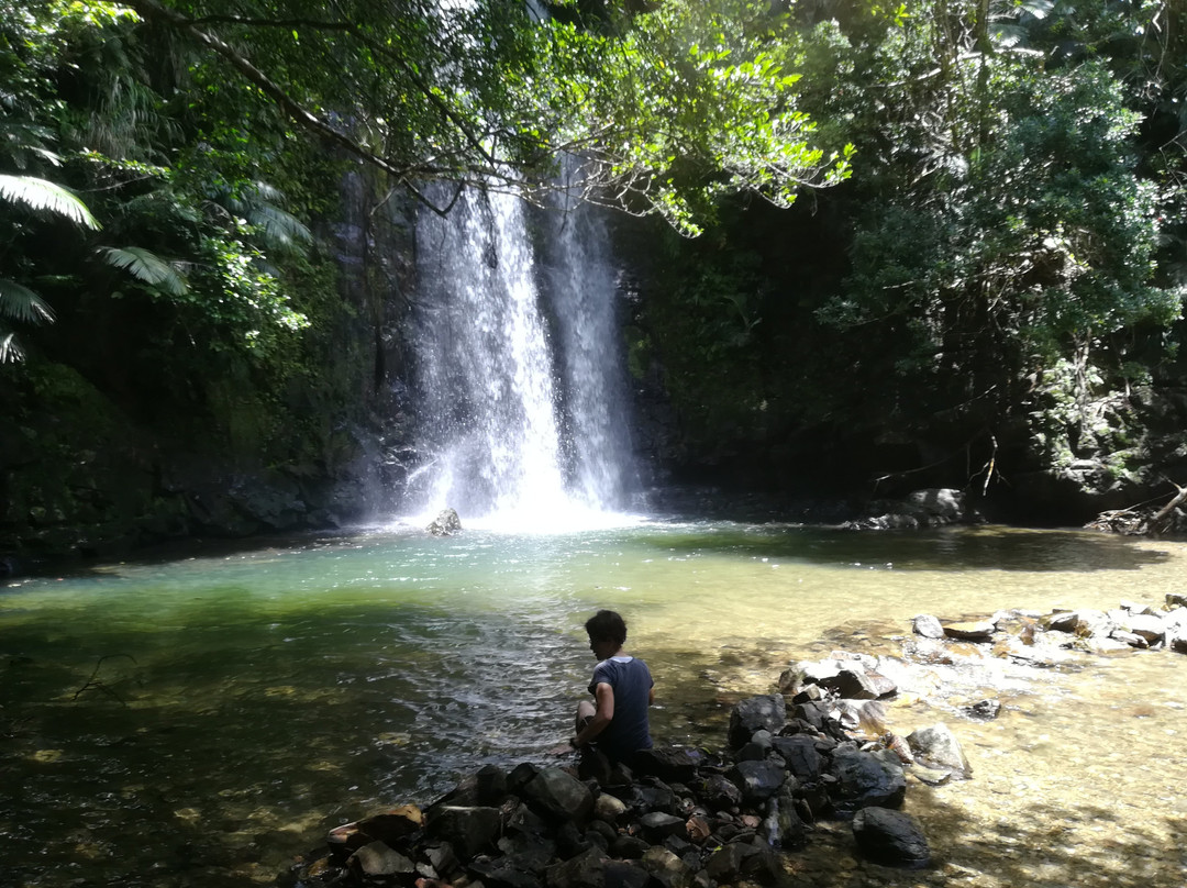 Ta Waterfall景点图片