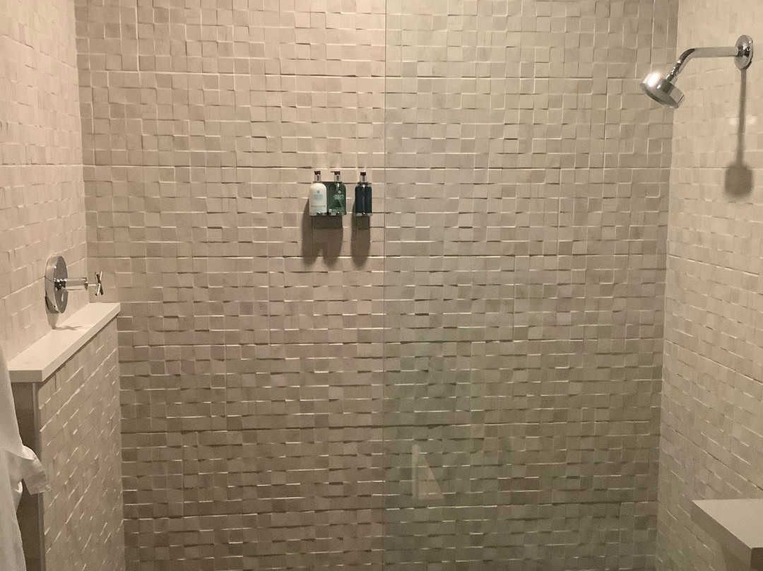 Hotel Weyanoke主图