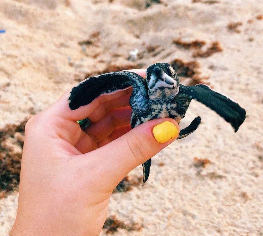 The Sprout Experience-克利夫兰必去景点