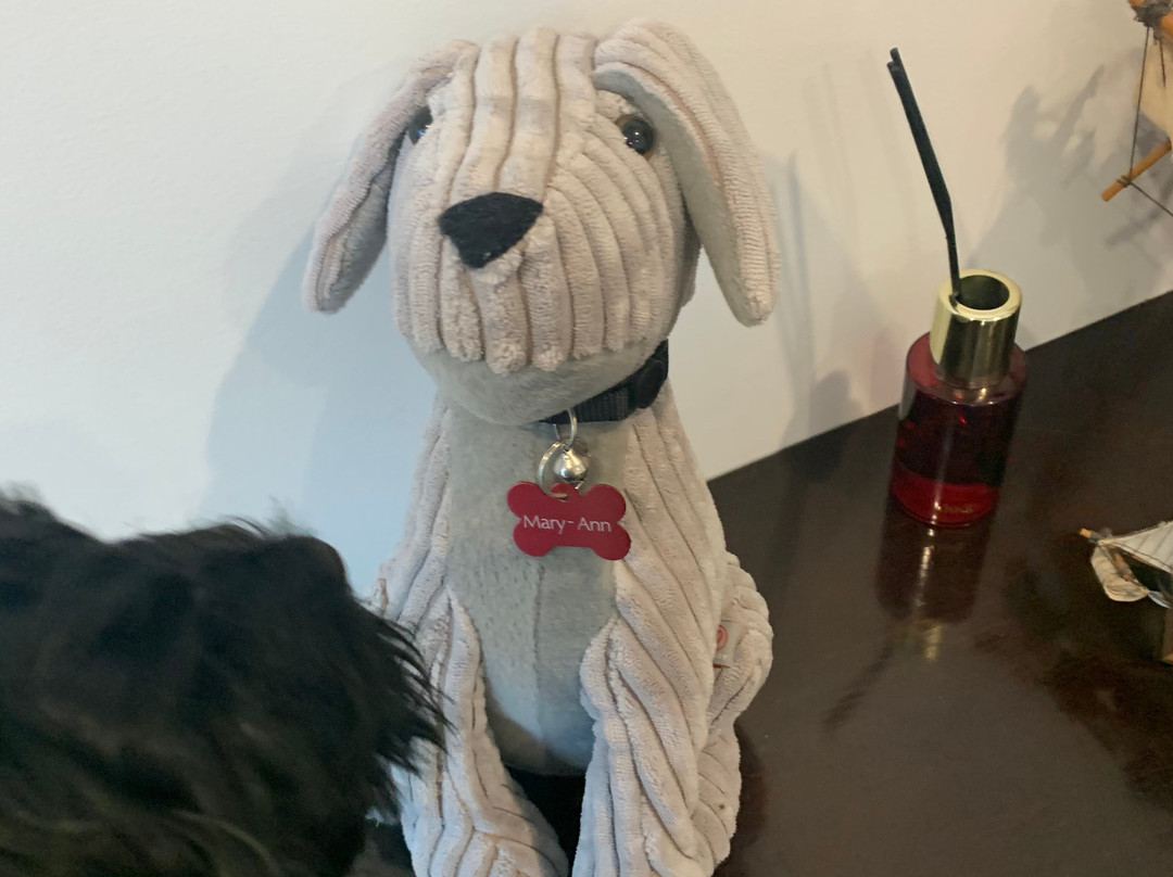 Buccaneer Motel主图