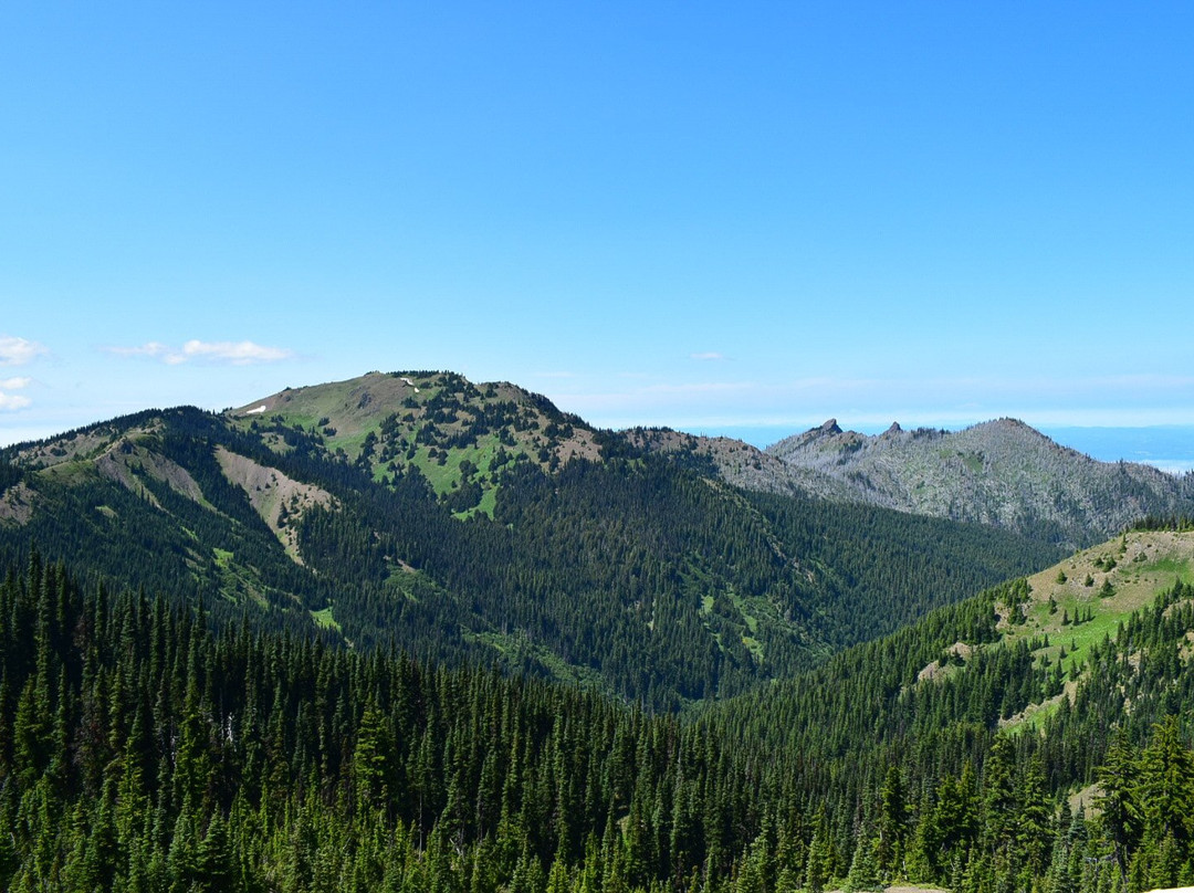 Hurricane Ridge Visitors Center-奥林匹克国家公园必去景点