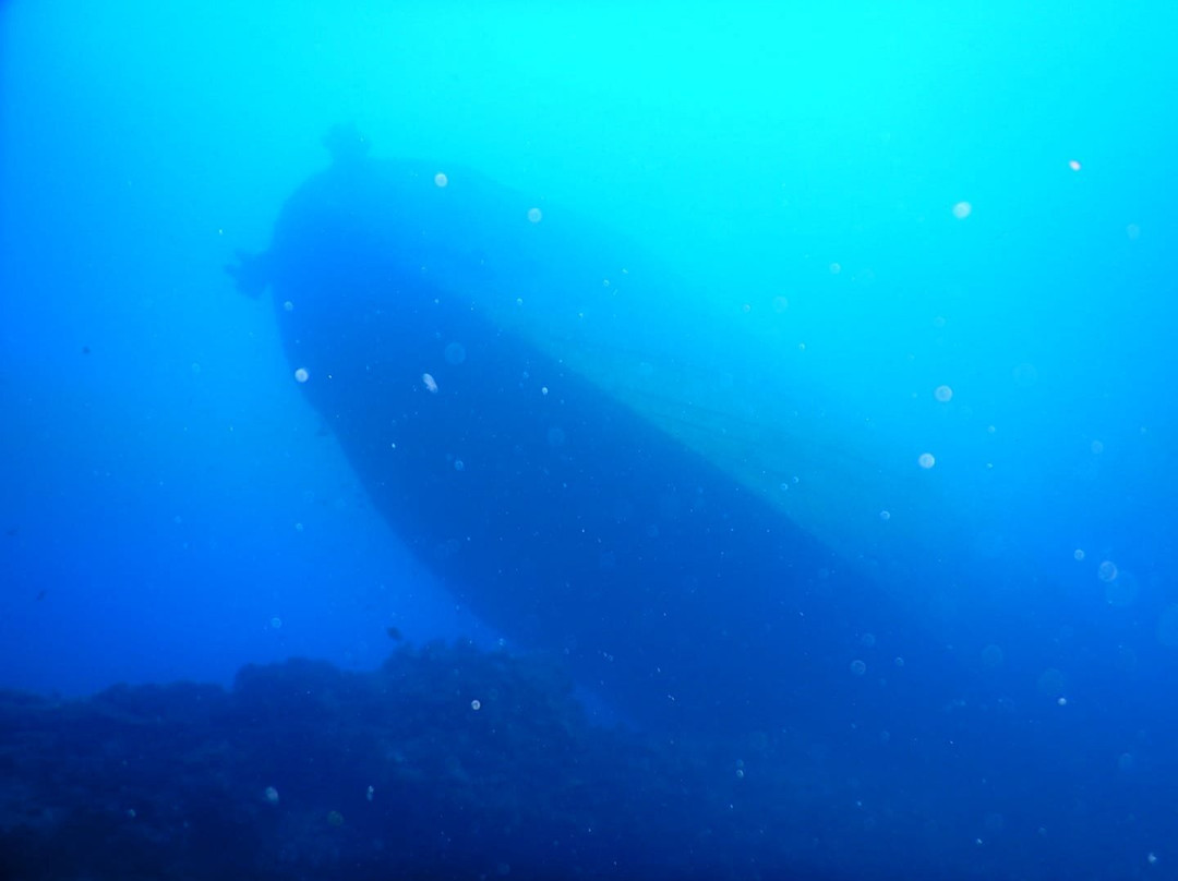 Alisios Sub Centro de Buceo-卡门港必去景点