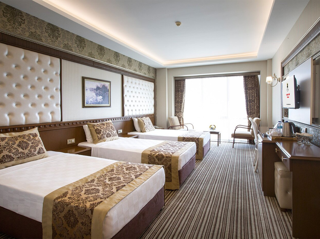 Grand Altuntas Hotel主图