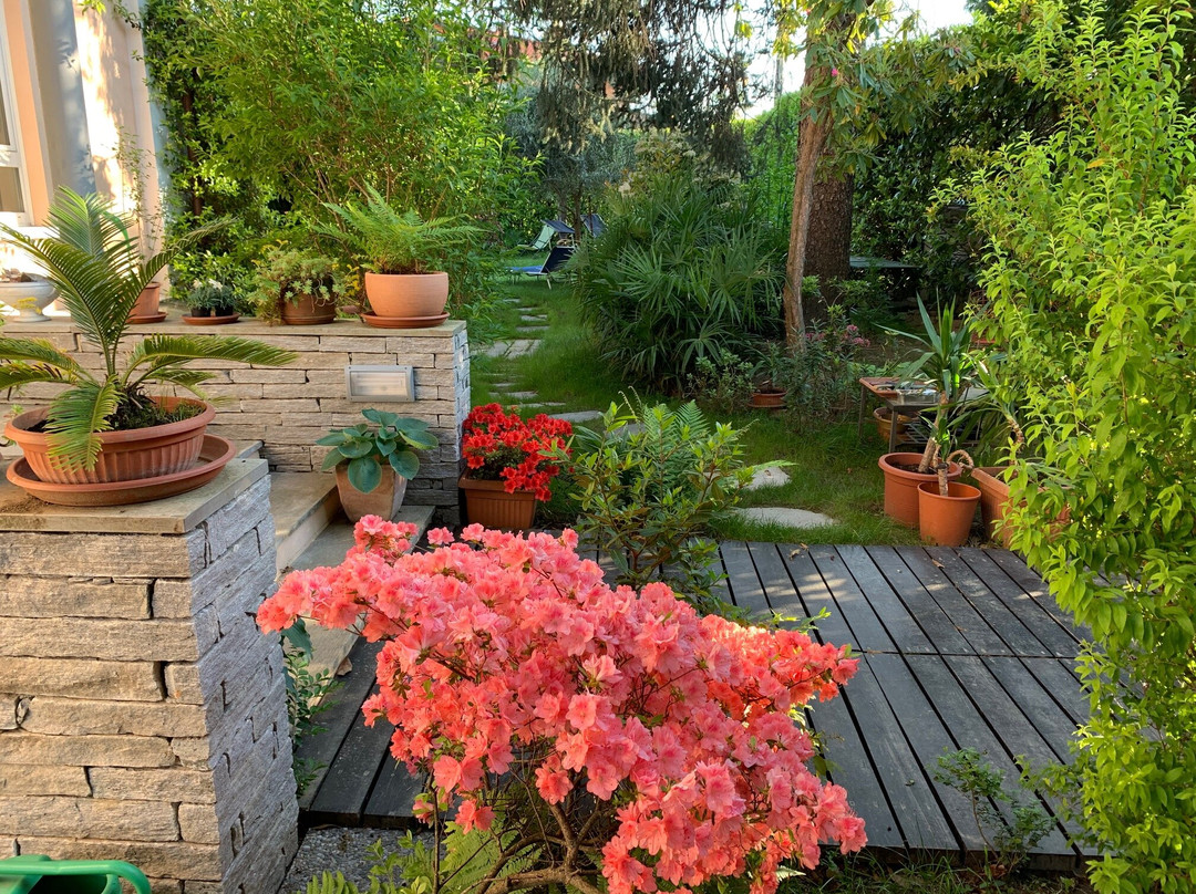 Casabella-Lago Maggiore主图