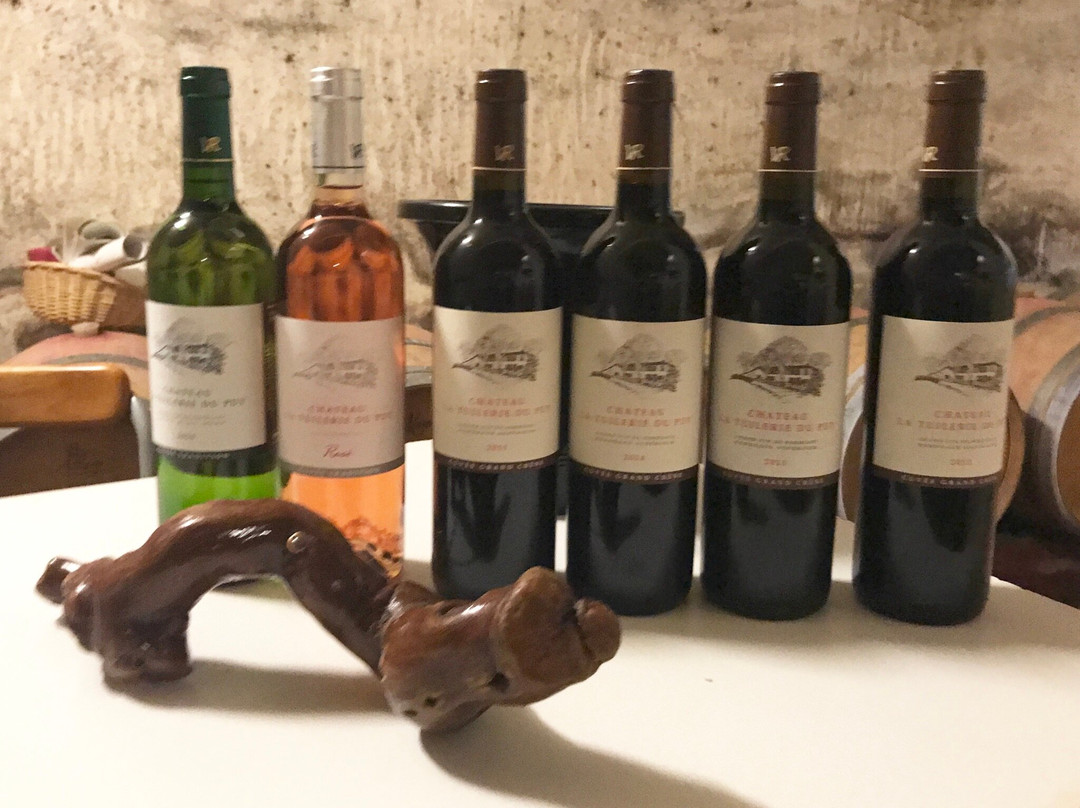 CHÂTEAU LA TUILERIE DU PUY景点图片